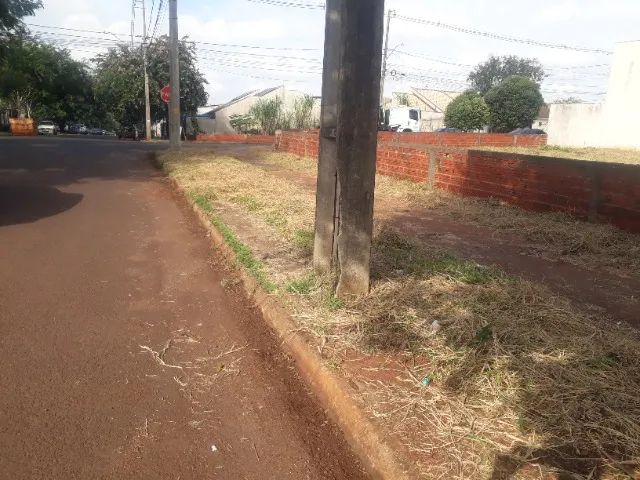 Roçadas e jardins - Foto 3