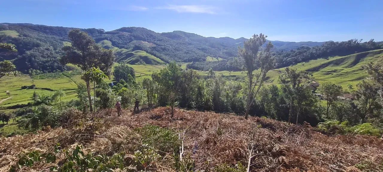 Sitio com escritura em Águas Mornas - SC - Foto 4
