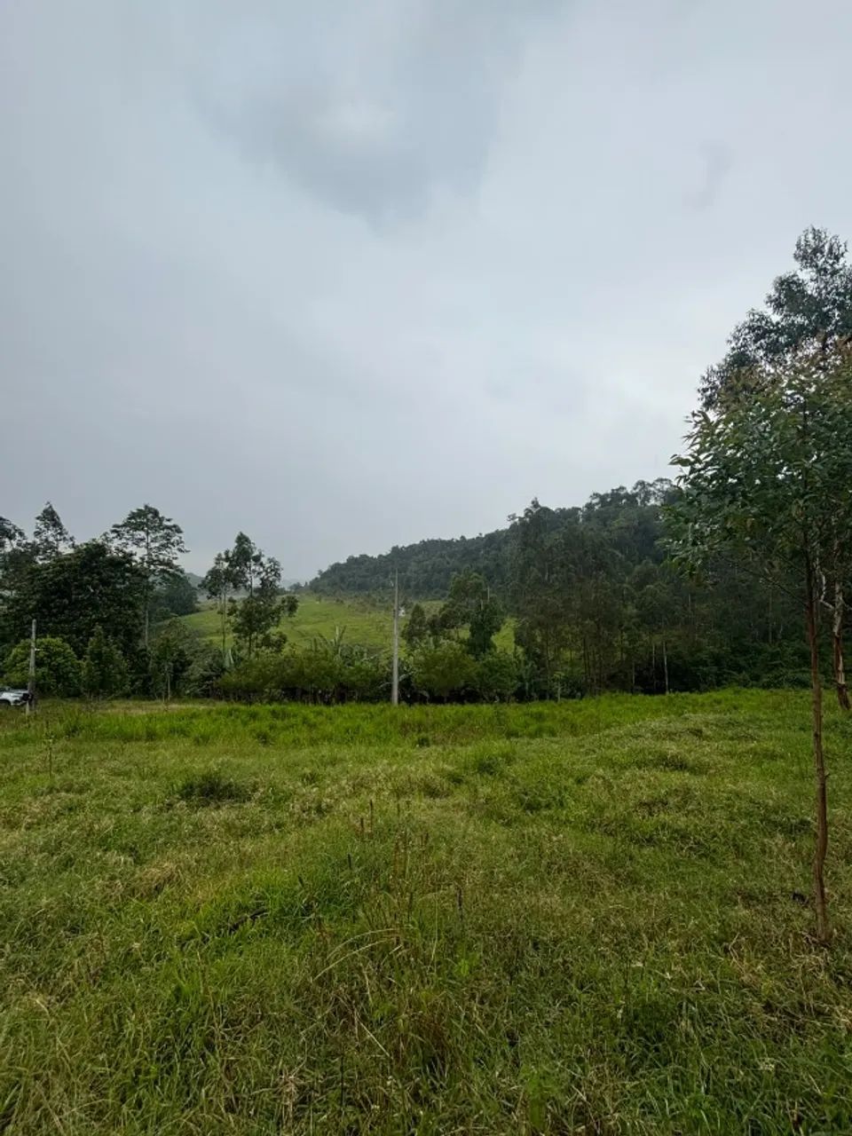 Propriedade rural  - Foto 5