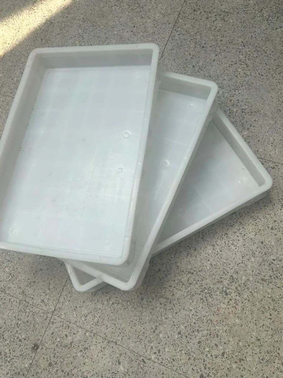 Caixa de fermentação pizza
