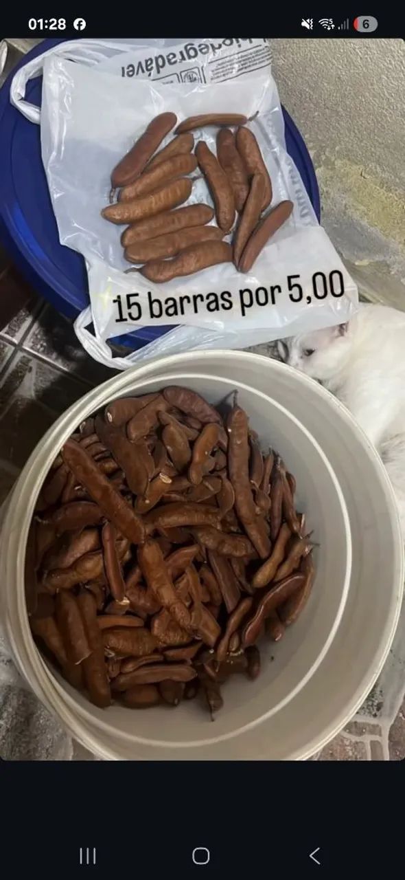 JUCÁ 