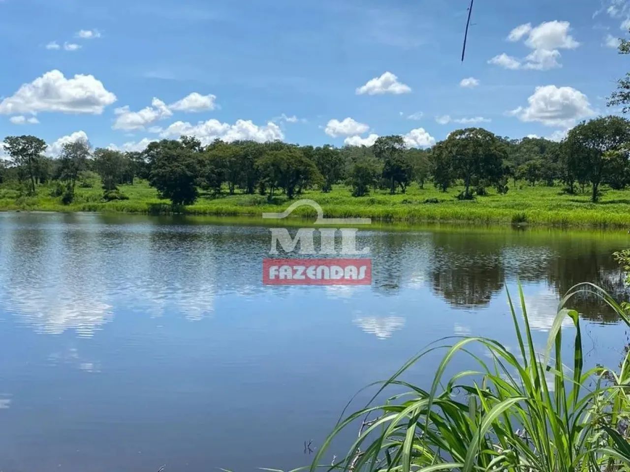Fazenda 106 Alqueires (515 Hectares) Jau do Tocantins - TO