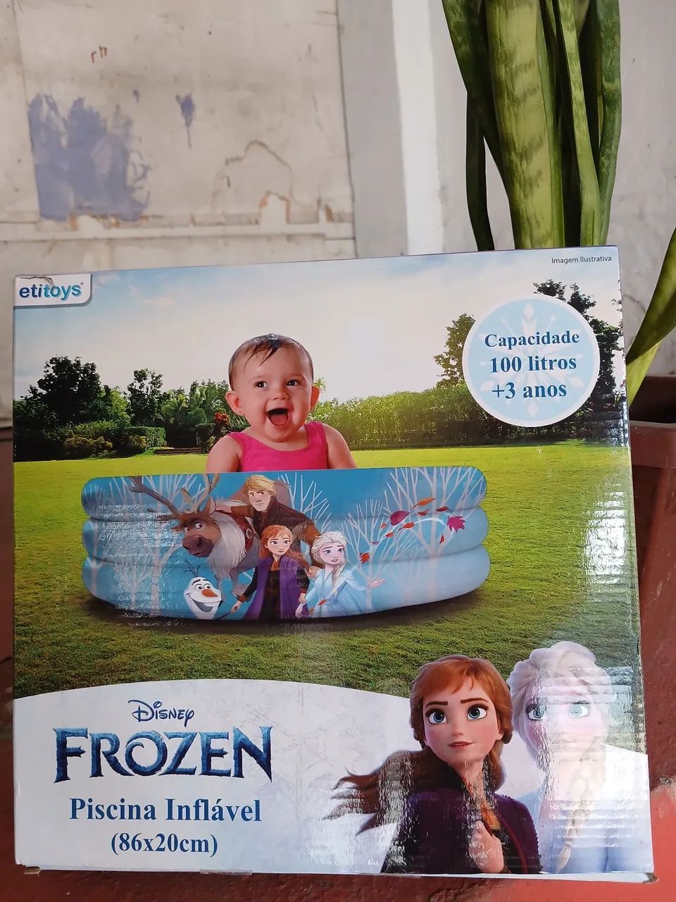 Piscina frozen
