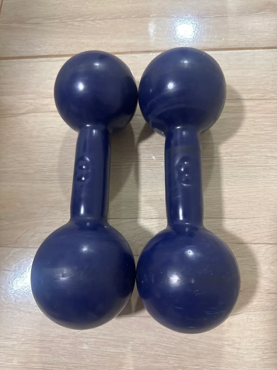Halteres  - Foto 2