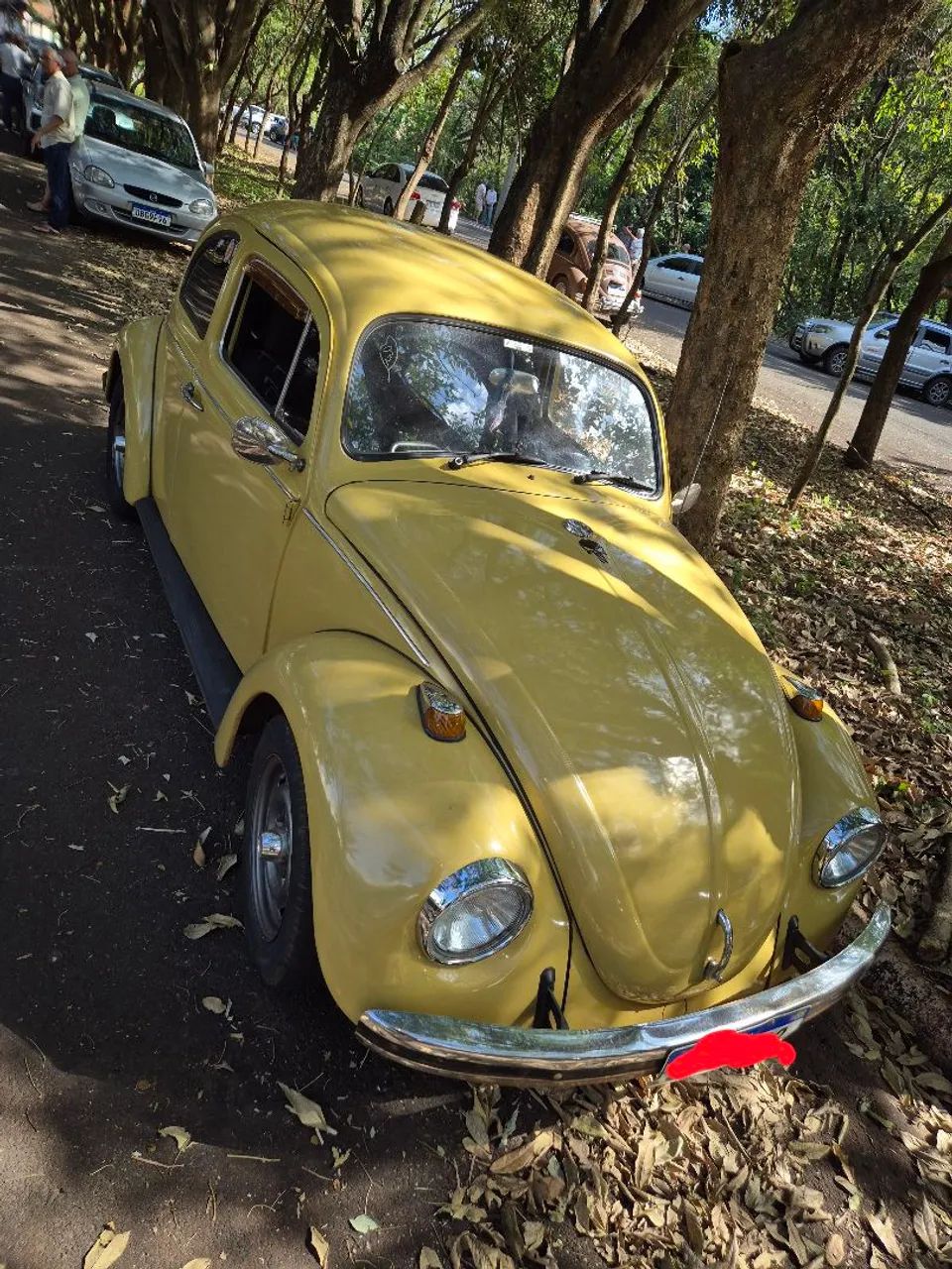 Volkswagen Fusca Fusca (gasolina) 1973