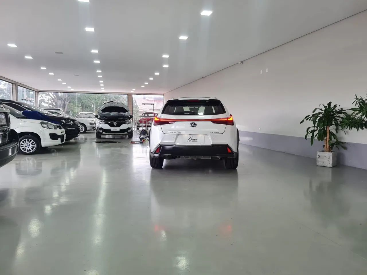 Lexus UX-250h Luxury 2.0 16V Aut.(hybrid), foto 20 de 20