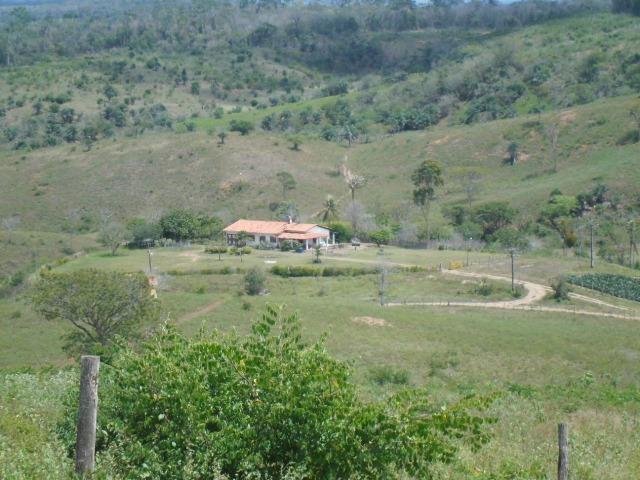Fazenda em Mundo novo - Foto 12