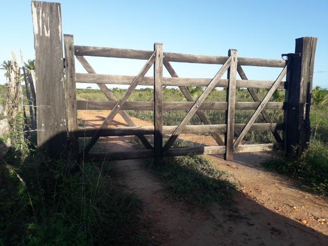 Fazenda 87,31 tarefas em Conde - Foto 19