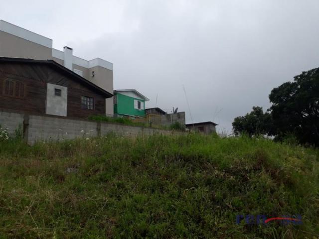 Terreno em caxias do sul - Foto 5
