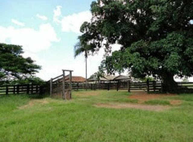 Fazenda 700 Alqueires - Região de Presidente Prudente-SP - Foto 8