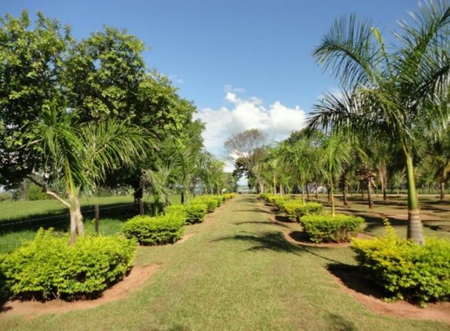Fazenda 700 Alqueires - Região de Presidente Prudente-SP - Foto 17