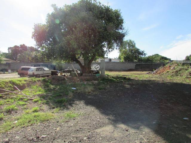 Terreno comercial para locação, chácara santa antonieta (nova veneza), sumaré - te2594. - Foto 3