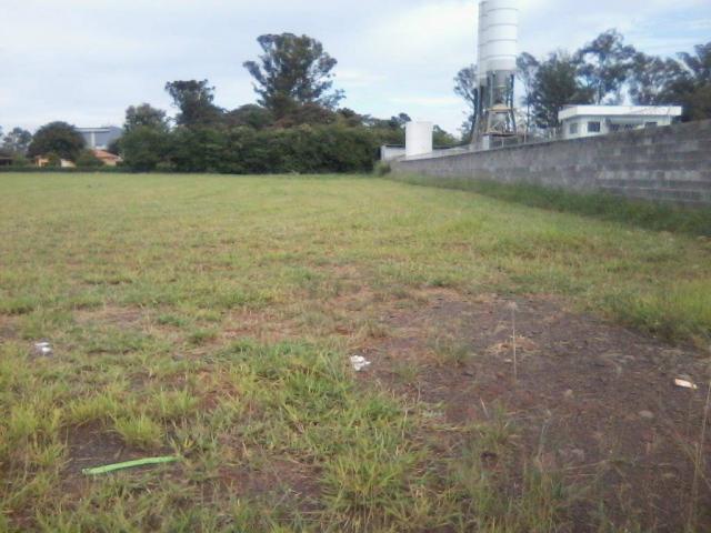 Área para alugar, 5.000 m² a 30.000 m² por r$ 1,00 m² - zona de produção industrial 01 - n - Foto 6
