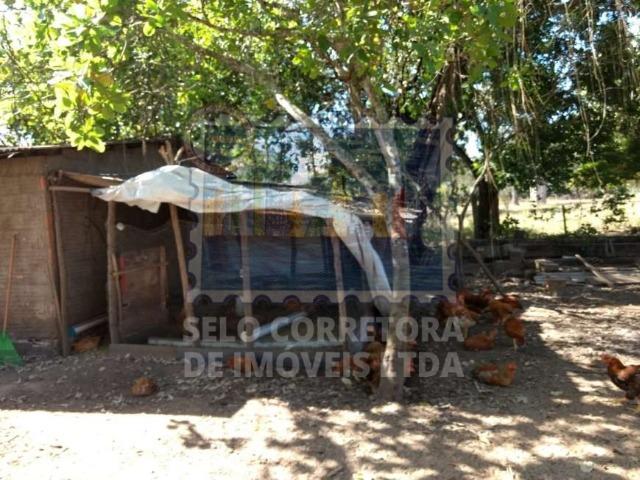 Otima Chácara na Comunidade de Bom Sucesso em Varzea Grande -MT - Foto 9