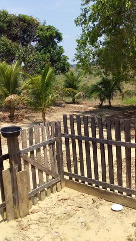 Colônia - Foto 11
