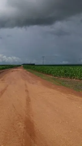 2.045 Alq Campos de Júlio -MT