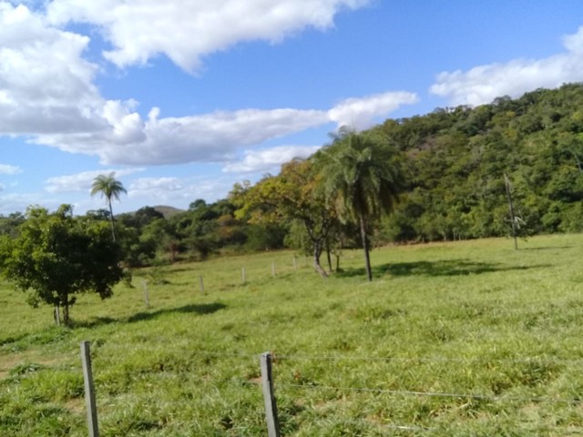 Fazenda de 343 Alqueires em Formosa Go 