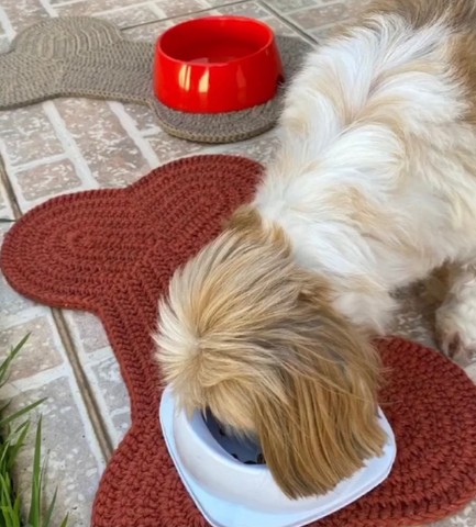 Tapete para seu pet - Foto 2