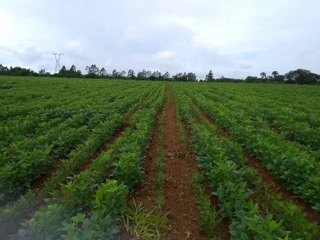 foto - Luziânia - Área Rural de Luziânia