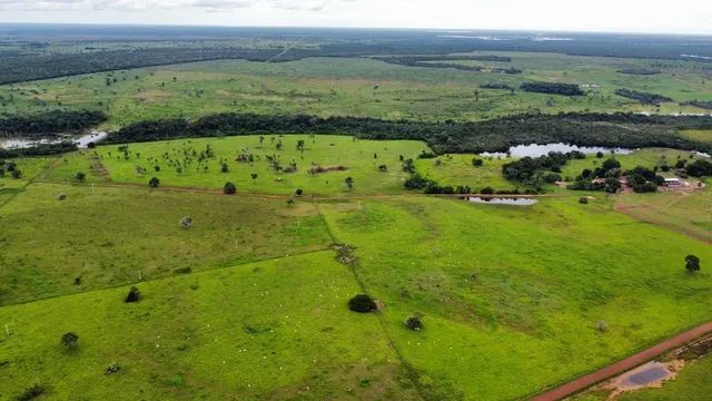 Fazenda de 1.590 alqueires formoso do Araguaia - Foto 4