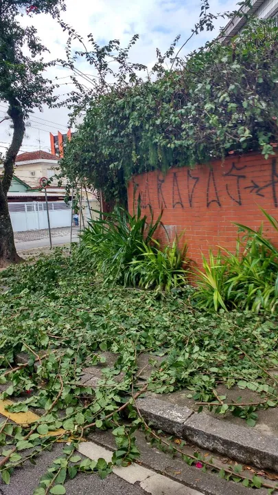 Jardinagem