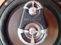 Par de alto falantes (selenium)