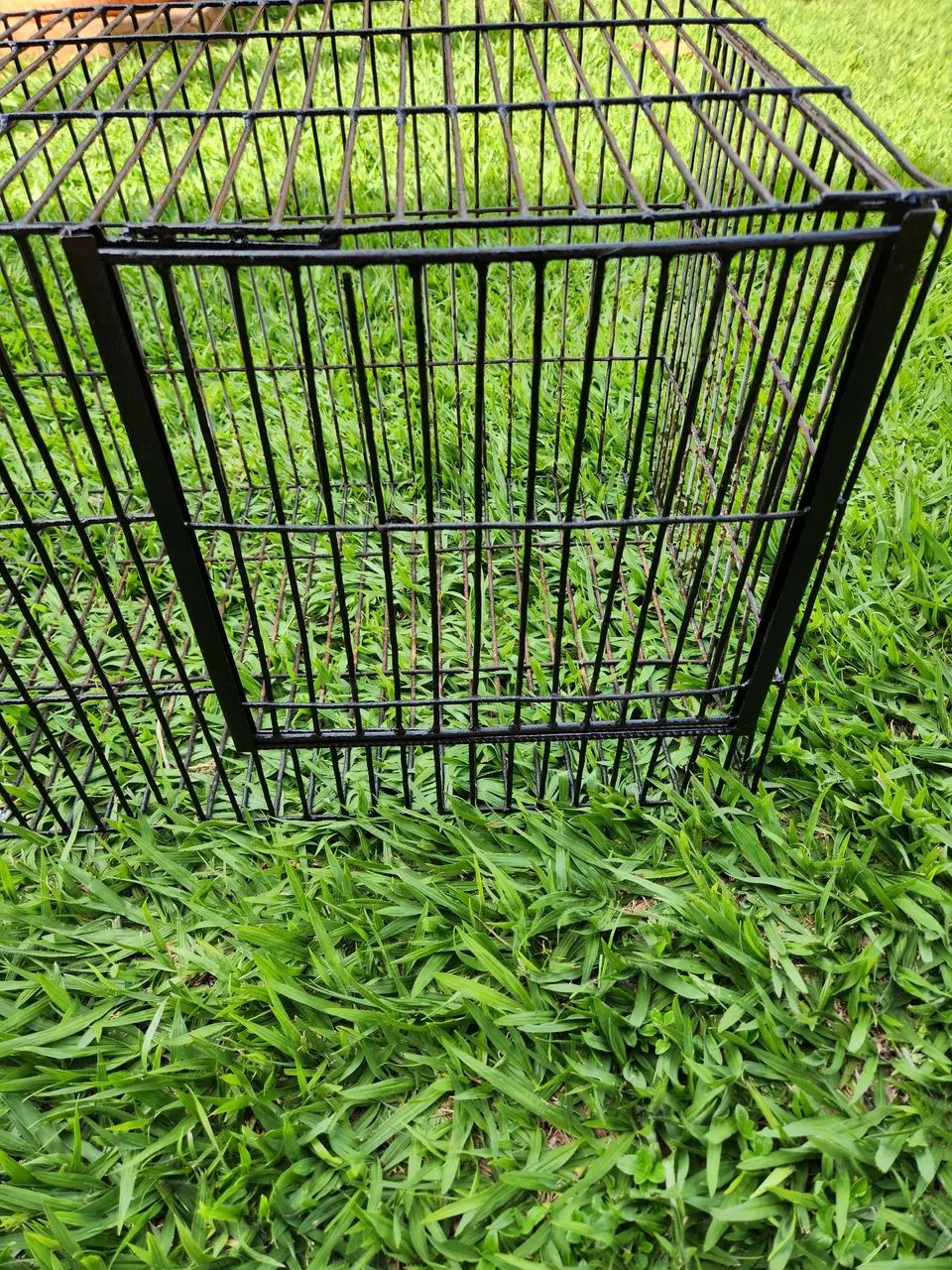 Gaiola Grande De Ferro - Foto 2