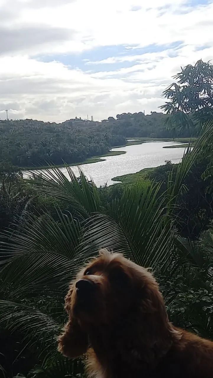 Foto - Salvador - Nova Esperança