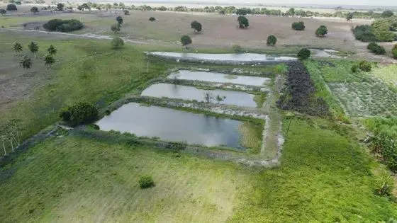 fazenda com 40 hectares em Monte Alegre