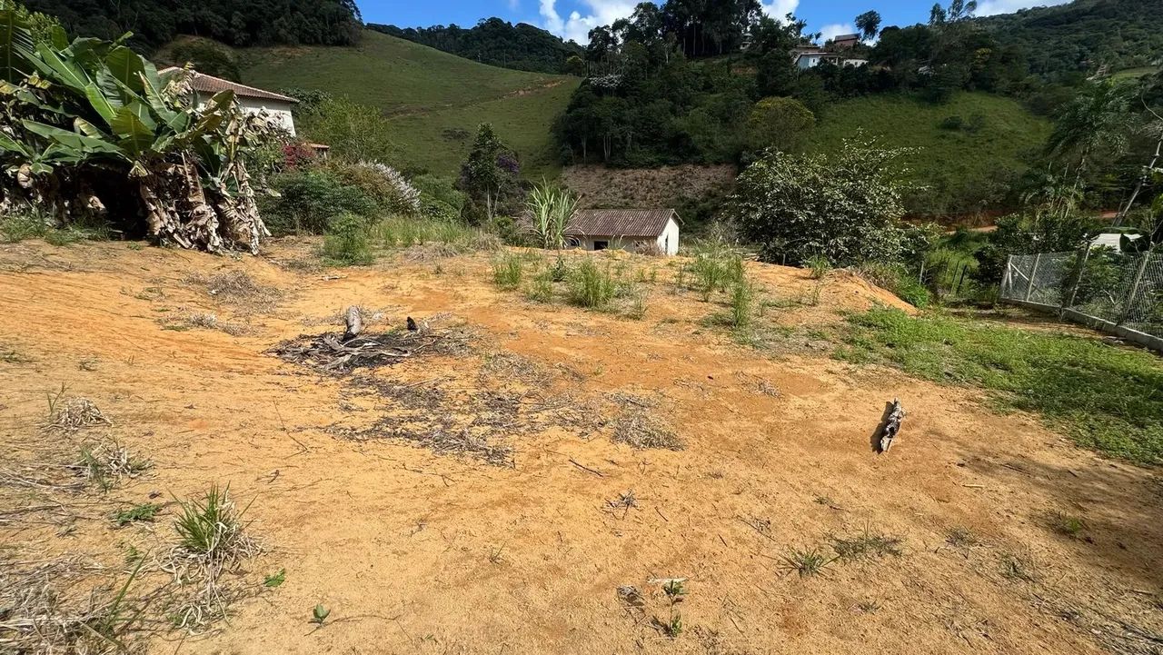 oportunidade em domingos martis - Foto 4