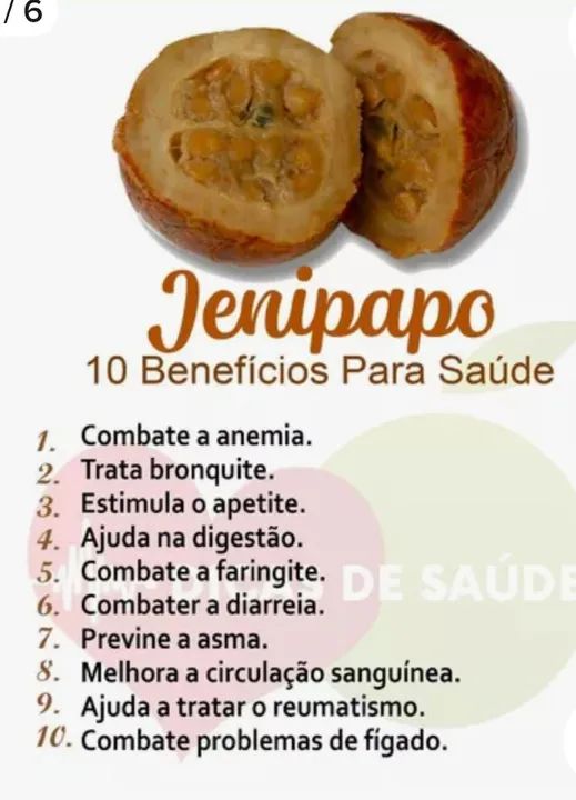 Mudas de Jenipapo - Foto 2