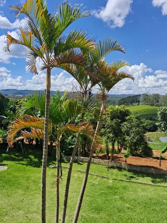 Chácara Nossa Terra em Cotia-SP  - Foto 4