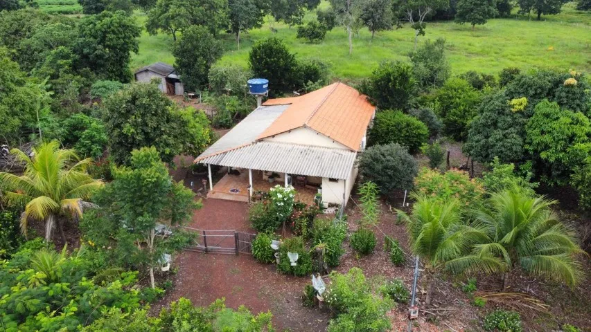 Investimento em Acorizal - Sítio com plantação Limão Taiti