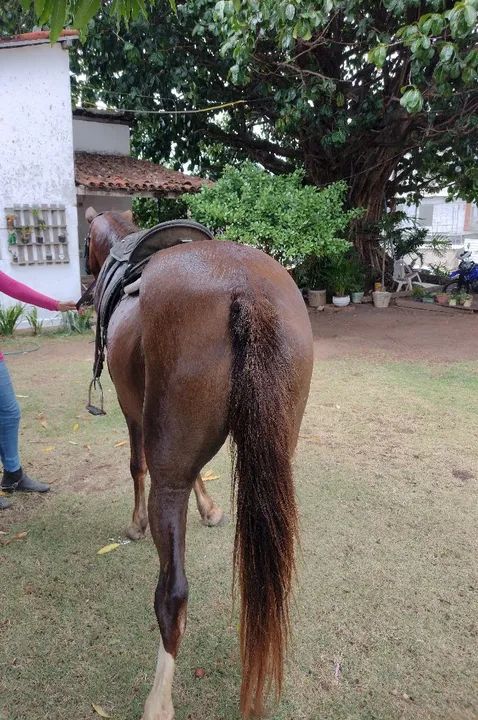 Égua de passada muito boa.. - Foto 4