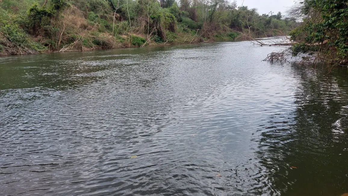 Troco chácara 20.000 metros em Padre Bernardo GO - Foto 3