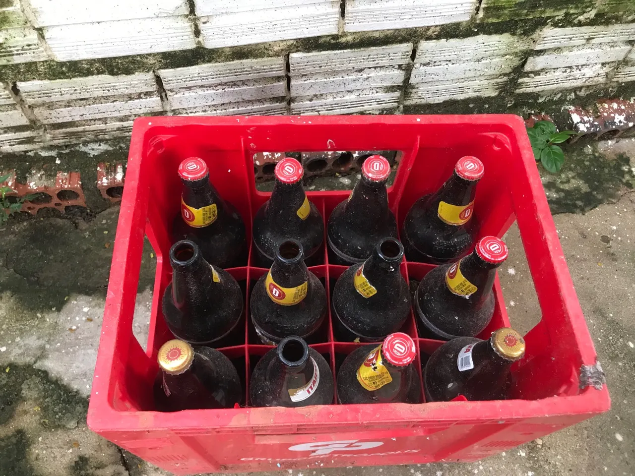 Caixa de cerveja vazia