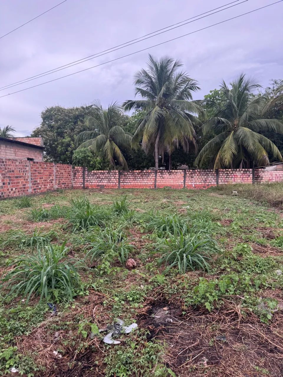 Terreno parcelado no senador helio campos - Foto 3