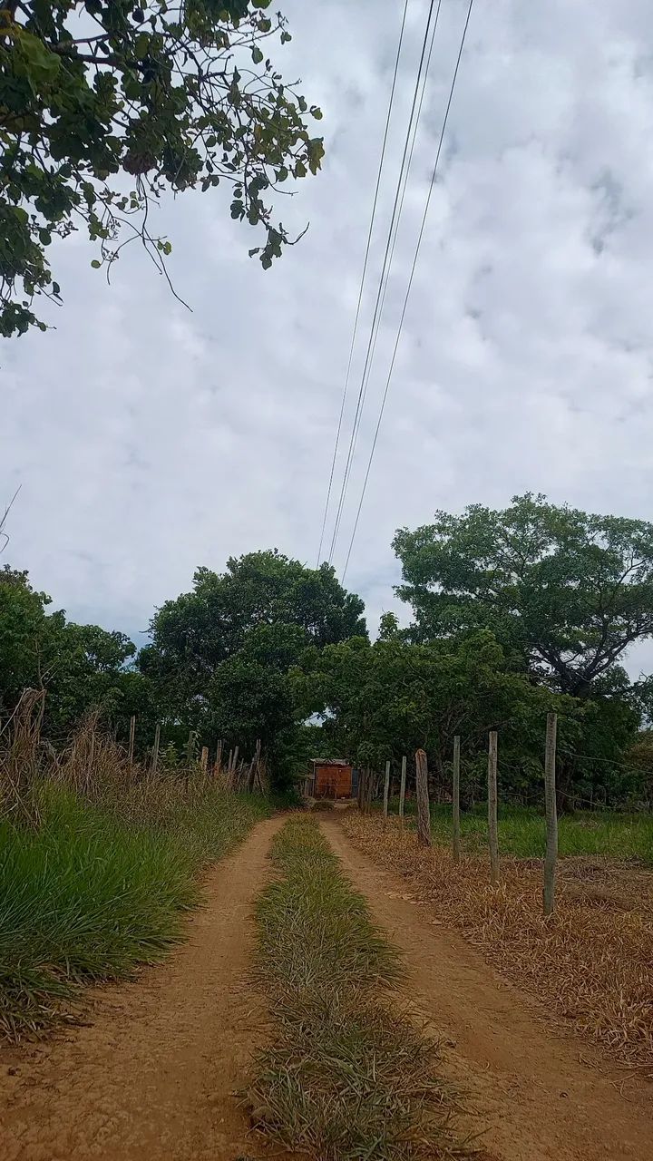 Vendo Chácara ou troco  - Foto 4