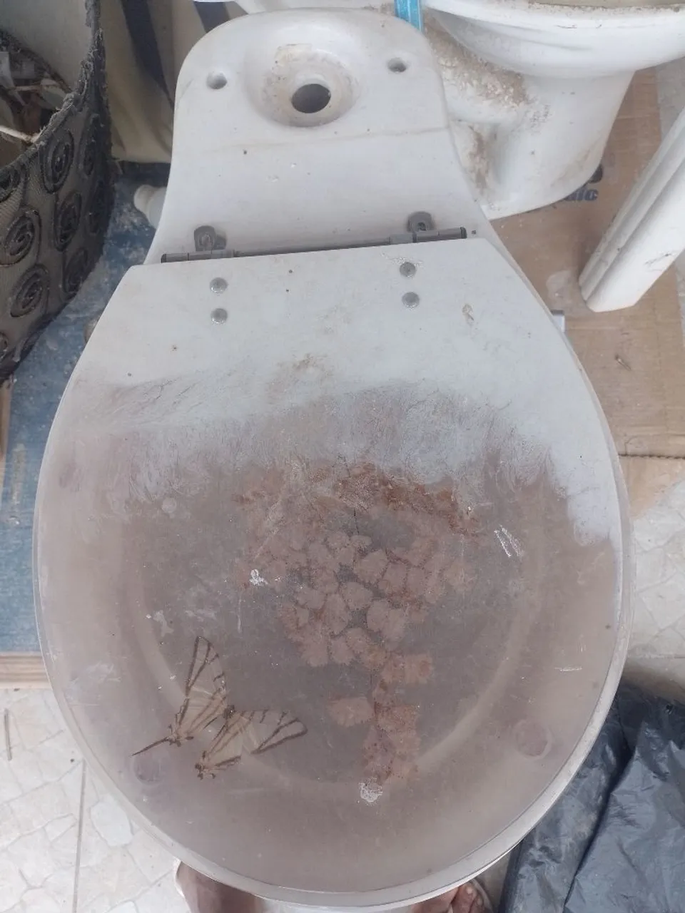 Assento Sanitário Usado