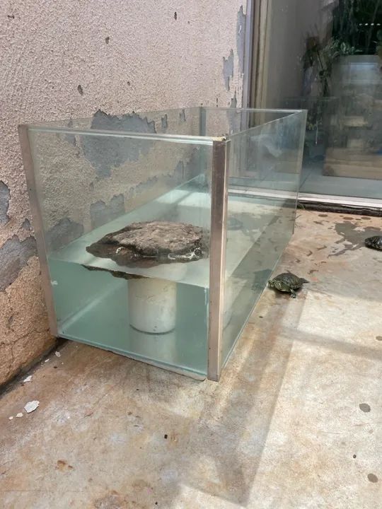 Aquário 80x50x40 - Foto 3