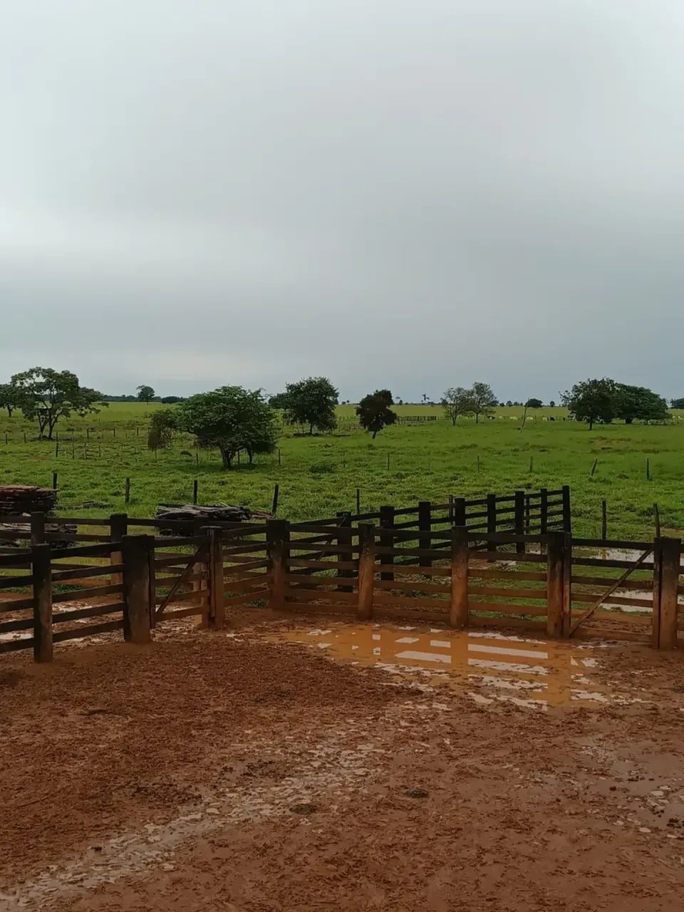 Fazenda a venda, em Xinguara Pará!!! - Foto 4