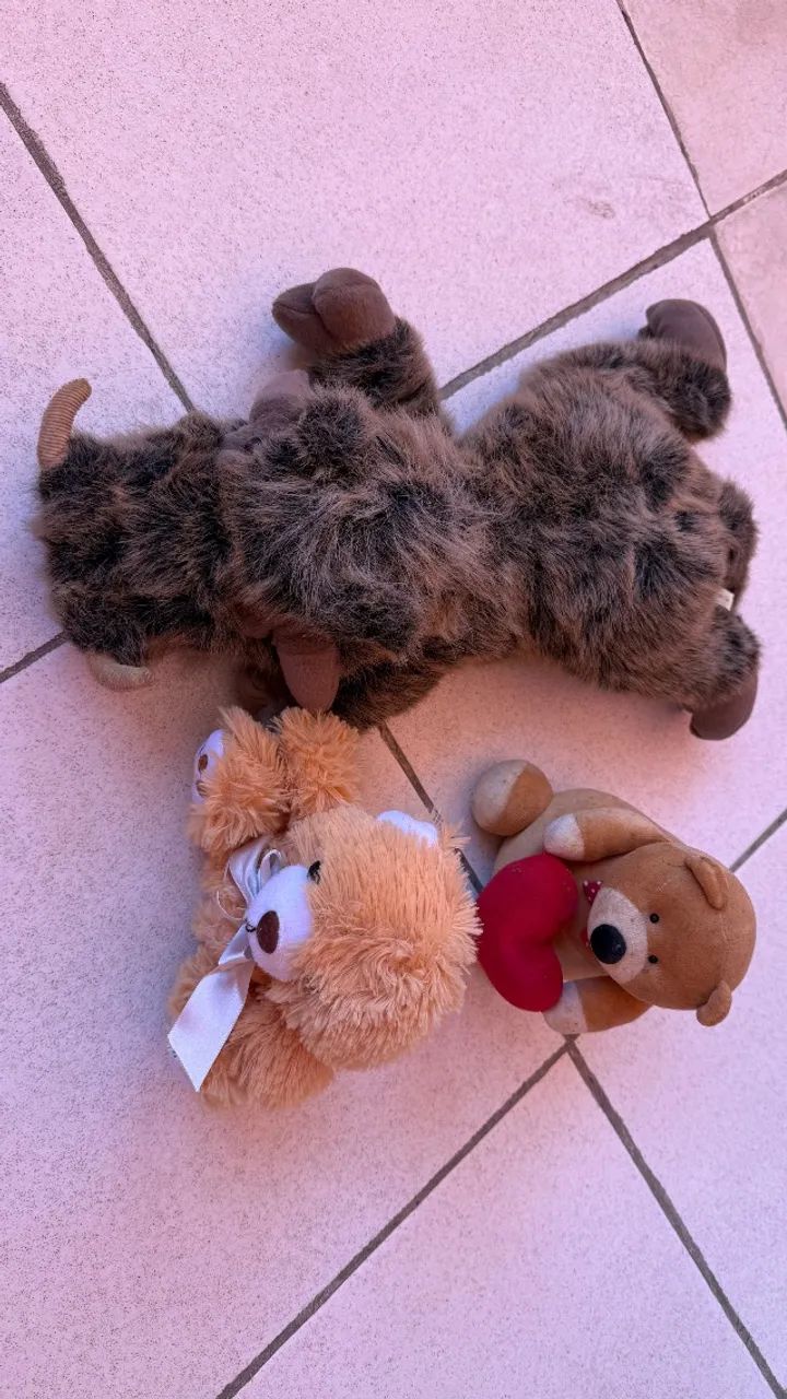 Kit 3 ursos