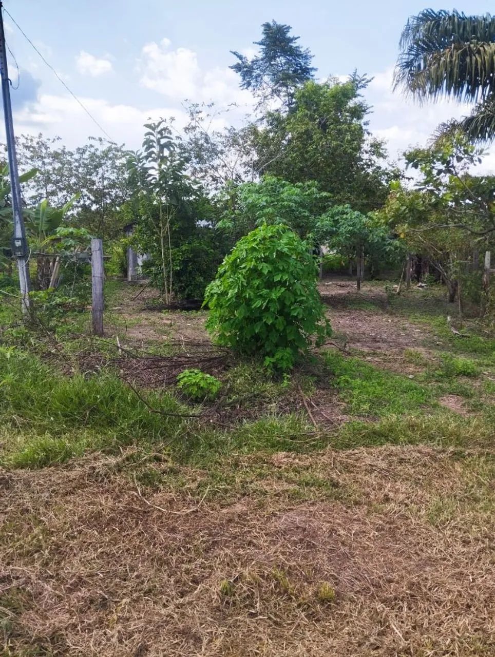 Vendo ou troco * - Foto 4