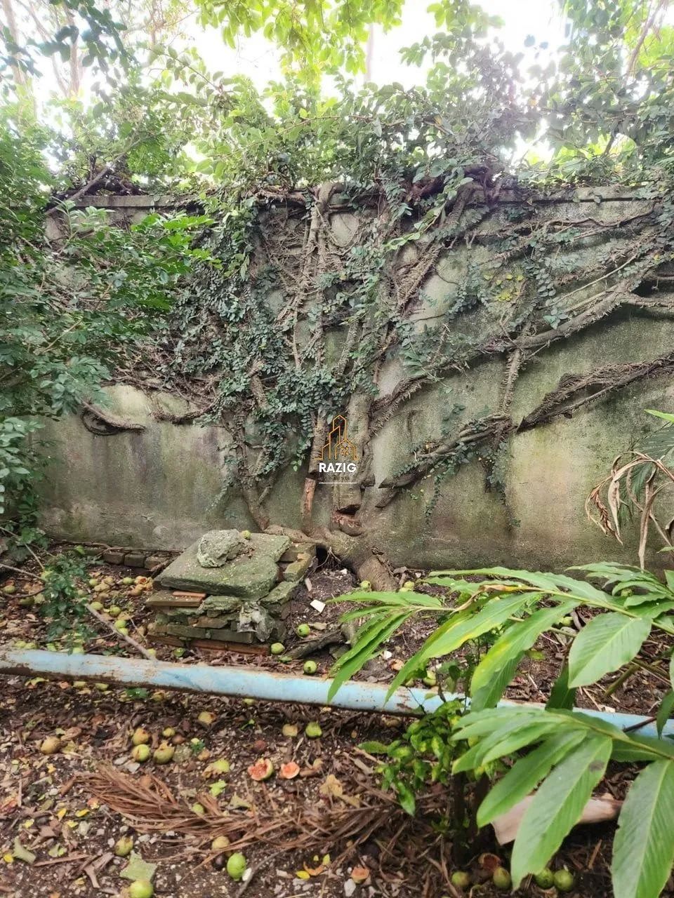 Terreno para Venda na Vila Carrão - Foto 3