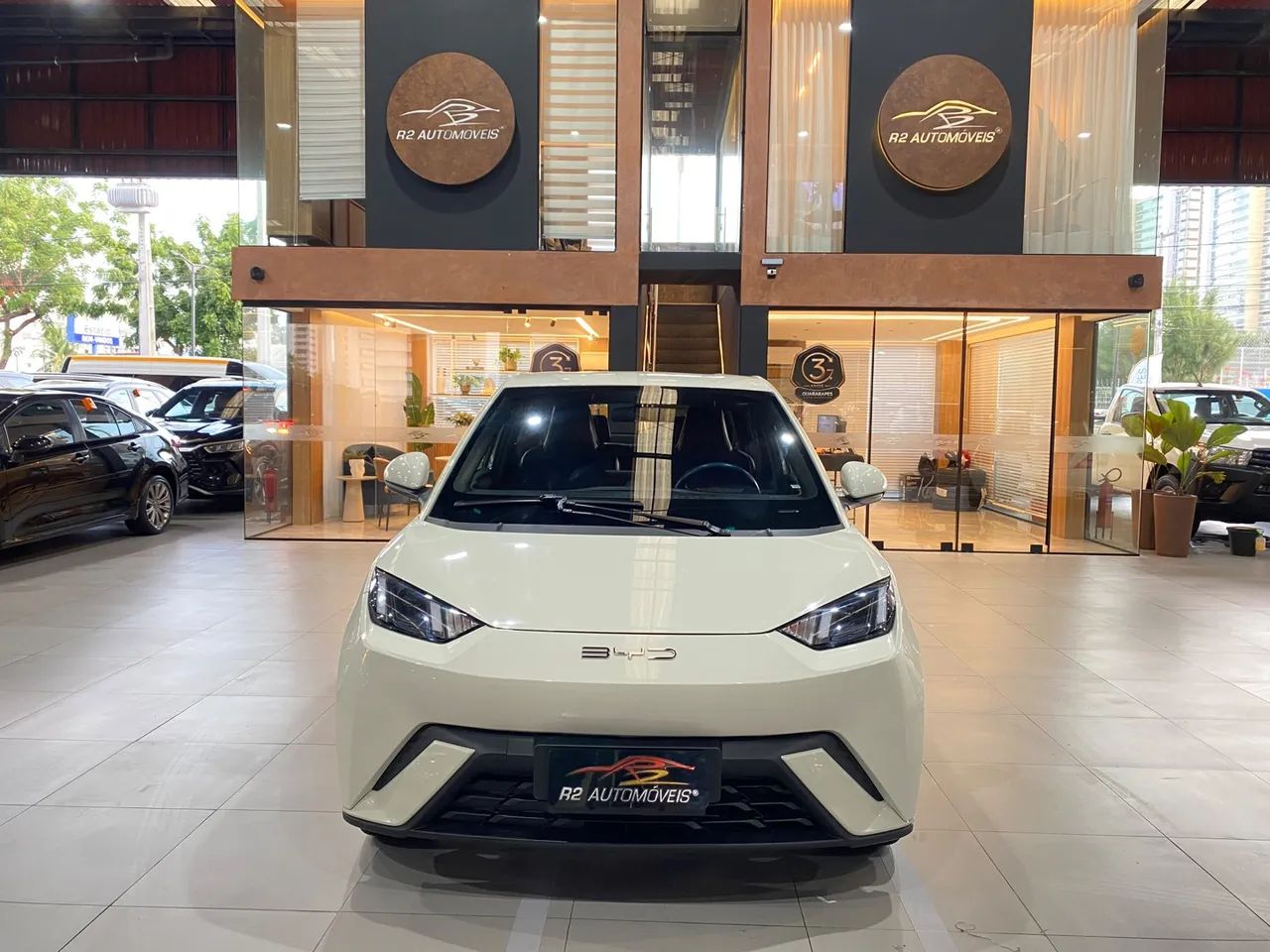 BYD Dolphin Mini (Elétrico) 2024
