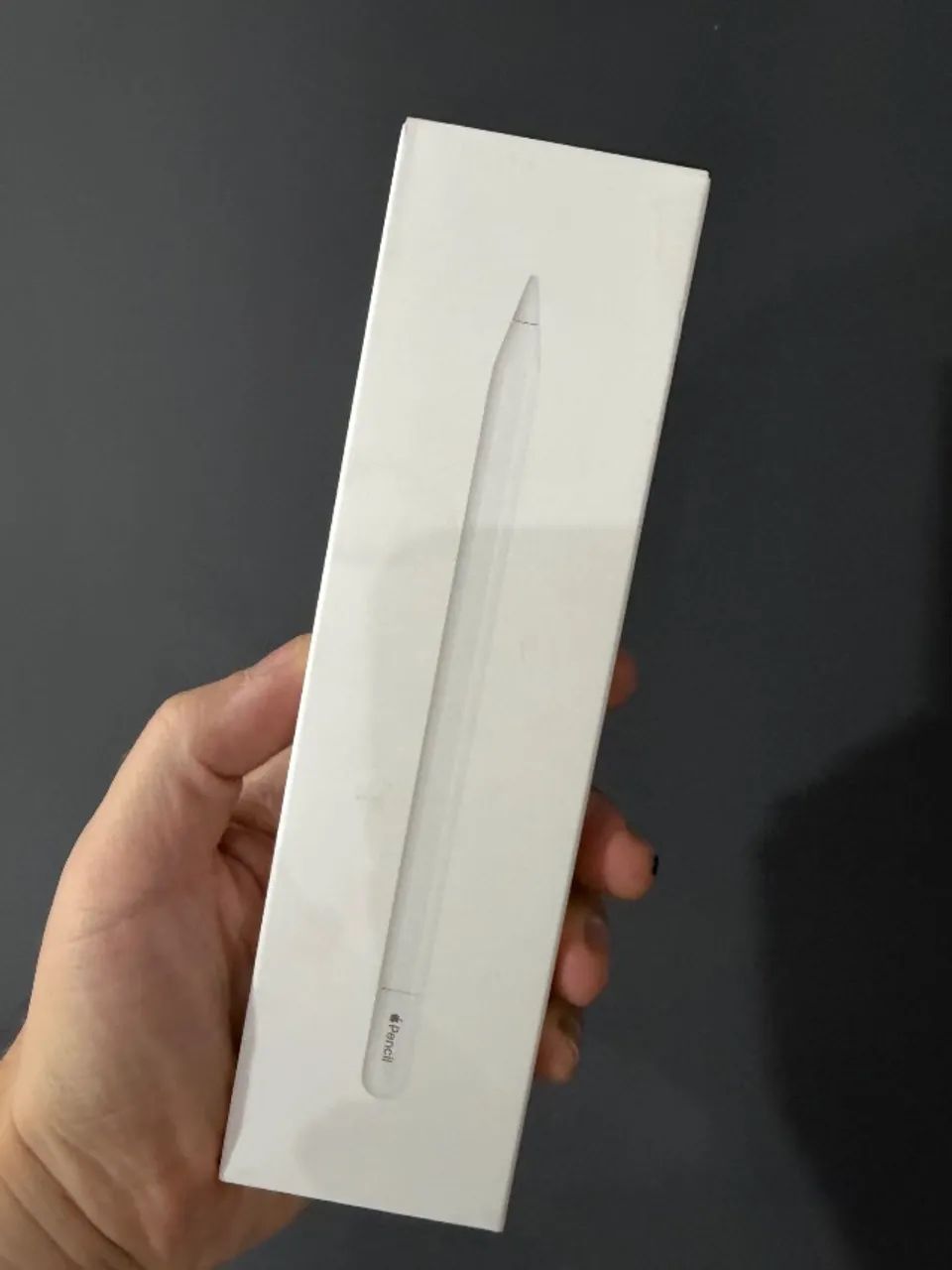 Apple Pencil USB-C, produto lacrado. Garantia Apple! - Acessórios