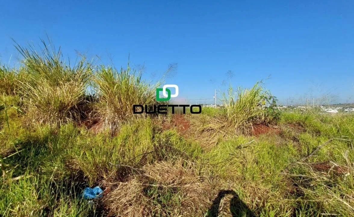 Terreno, à venda, 300 m², por R$ 240.000,00 - Jardim Florença - Nova Odessa/SP - Foto 5