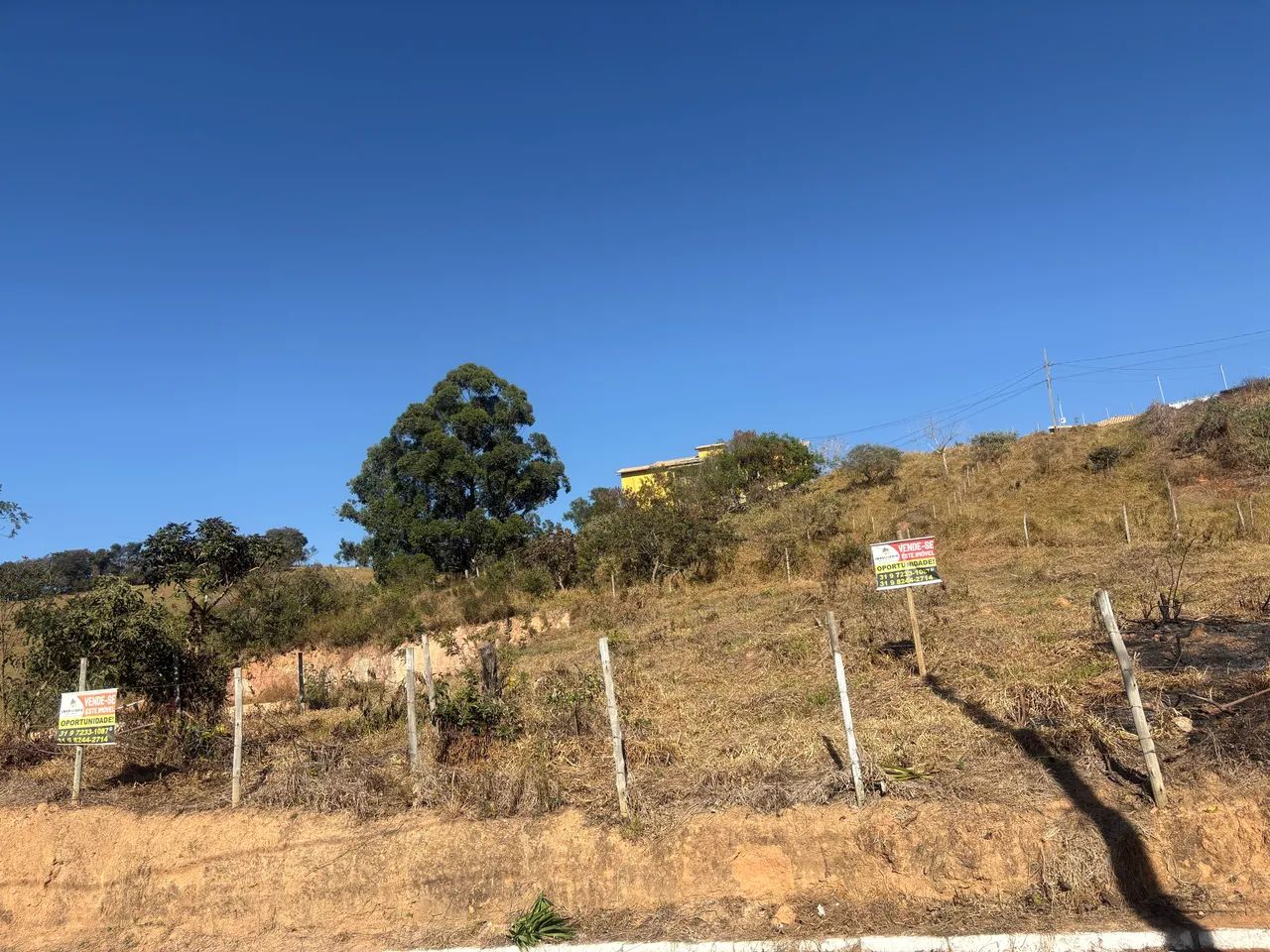 VENDO LOTES CRUCILÂNDIA-MG - Foto 3
