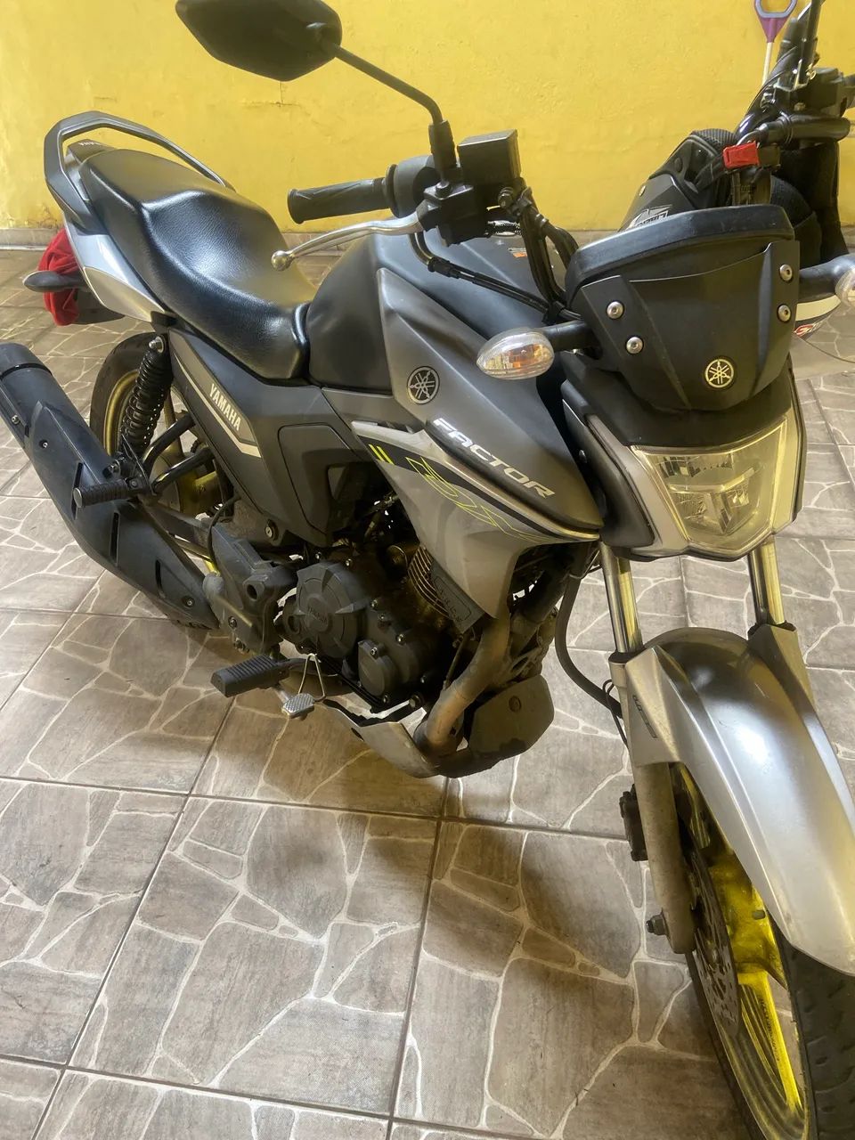 Factor DX 2025 - Foto 2