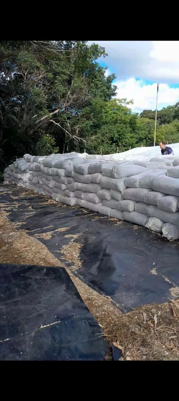 A SECA CHEGOU COMPRE SEU SILO DE CAPIM AGORA MESMO - Foto 3